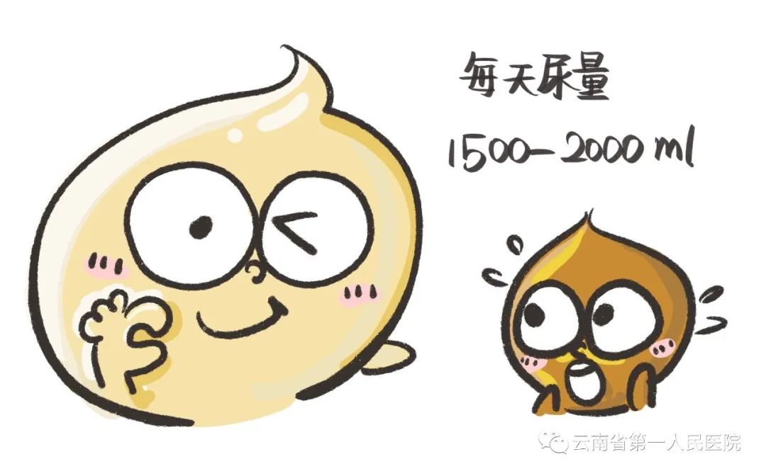 云南省第一人民医院