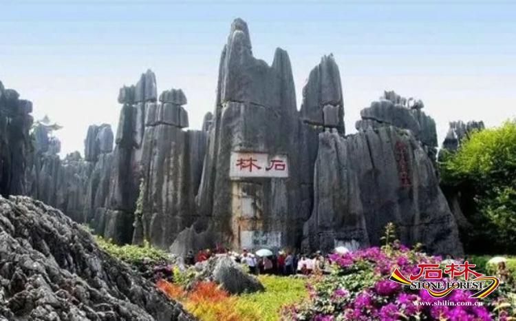 石林旅游网