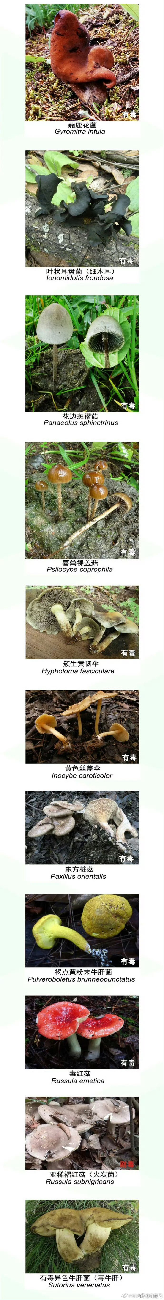 滇池旅游度假区