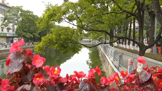 昆明信息港/cnkmxxg