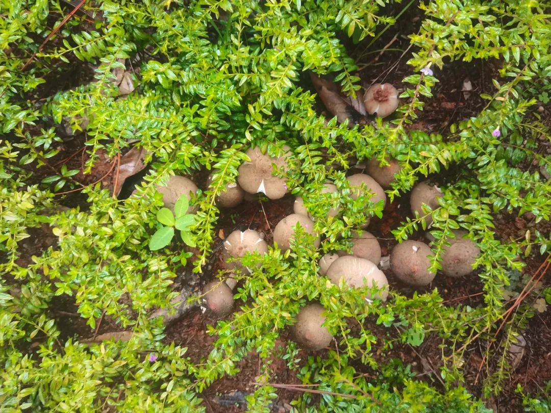 昆明信息港/cnkmxxg