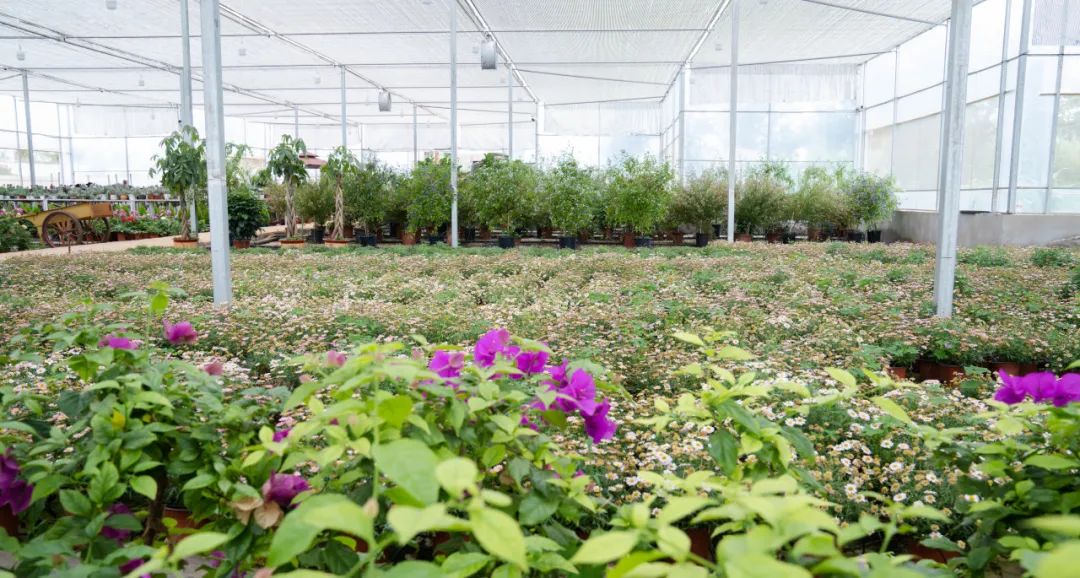 晋宁诗意的栖居地