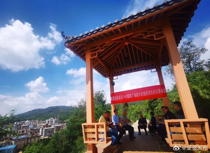 提升环境 擦亮名片——松茂社区院坝协商促增收谋发展