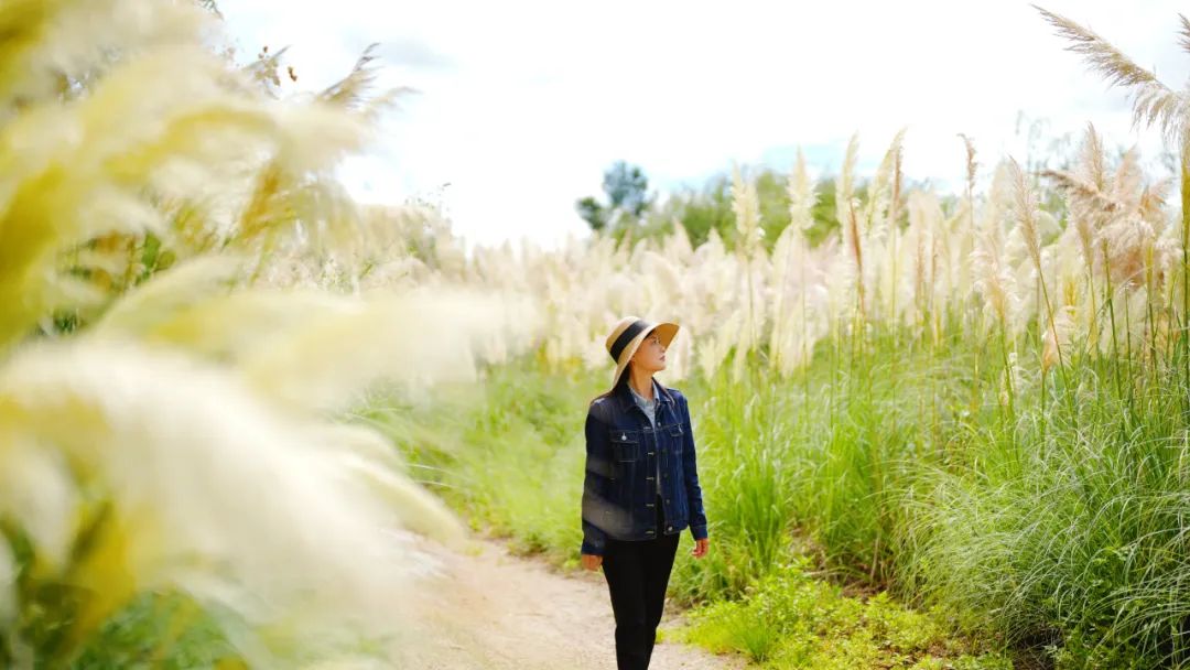 晋宁诗意的栖居地