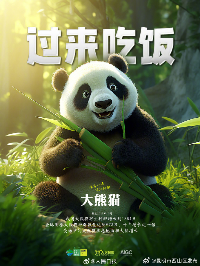 昆明市西山区发布