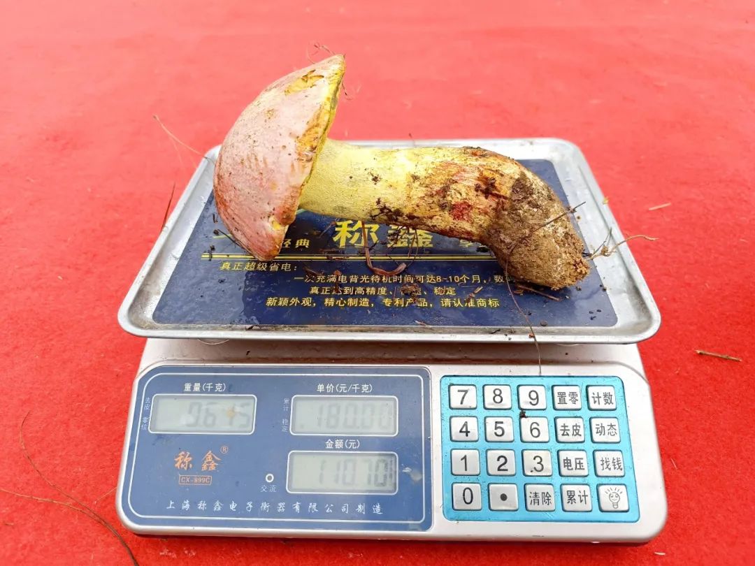 晋宁诗意的栖居地