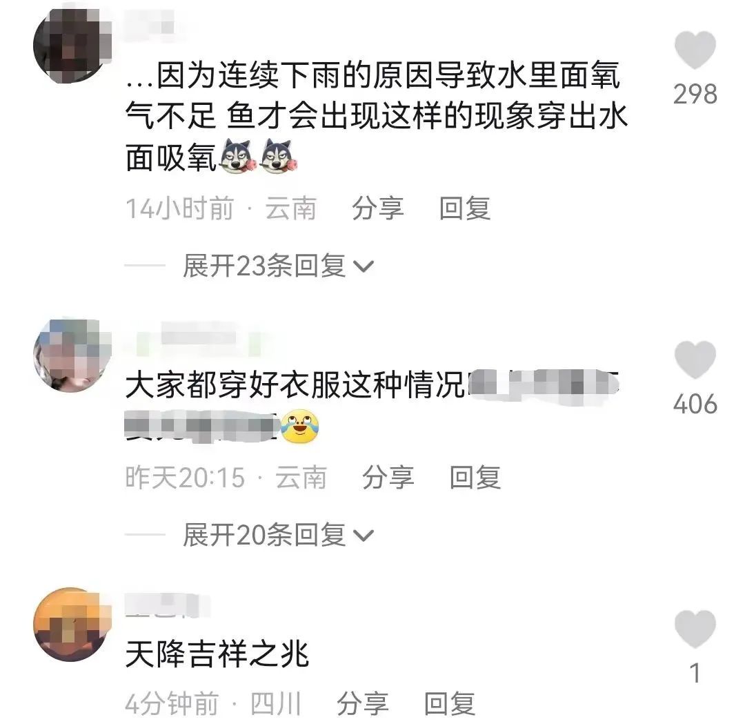 昆明信息港/cnkmxxg