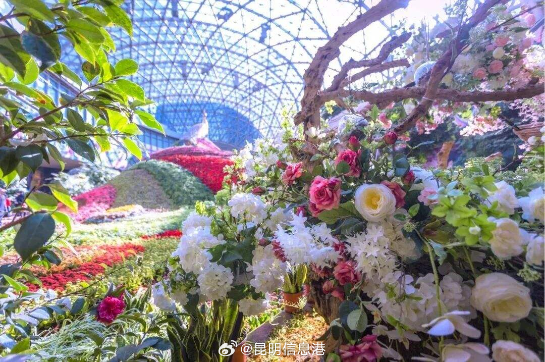 昆明信息港微博