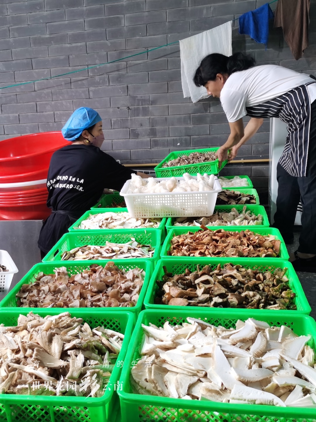 云南省文化和旅游厅