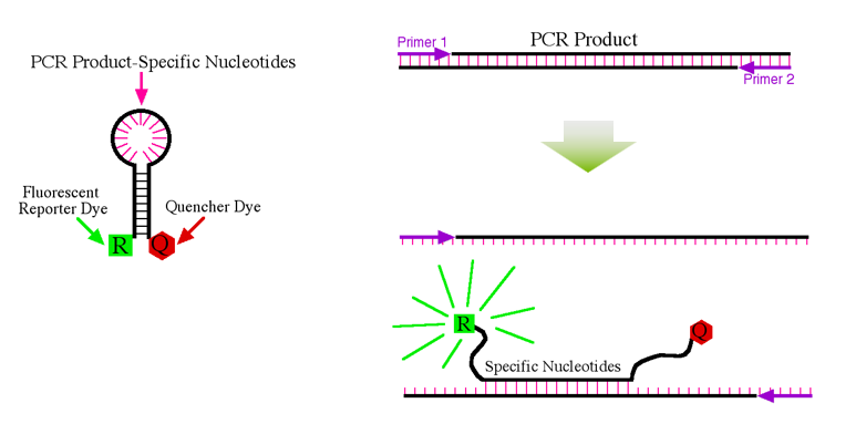 云南省文山州人民医院