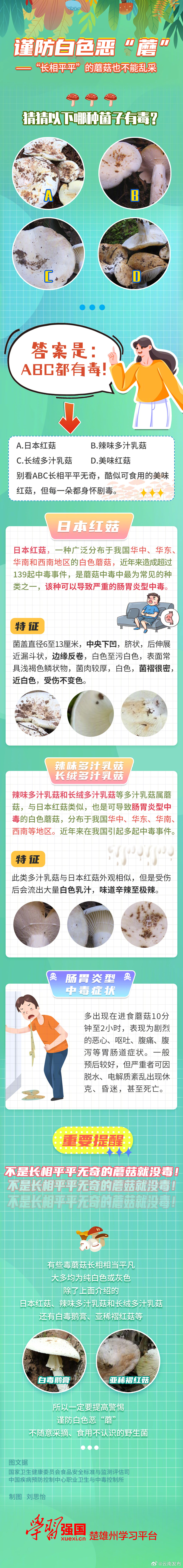 长相平平的蘑菇也不能乱采
