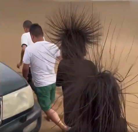 昆明信息港/cnkmxxg