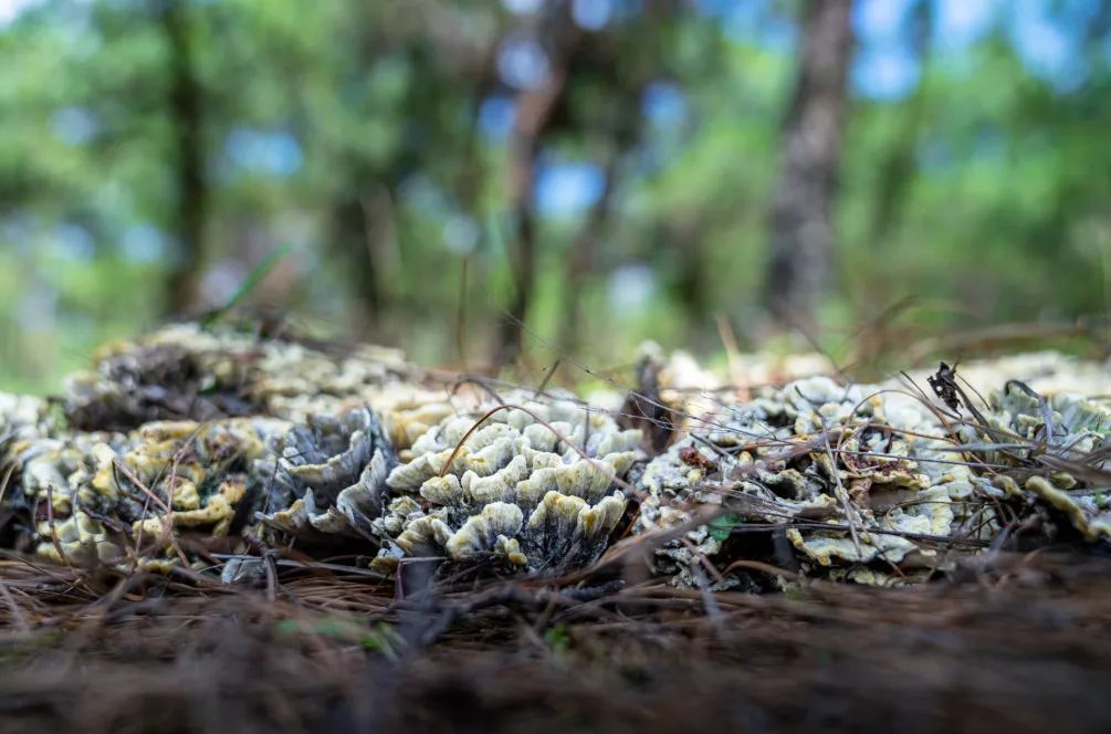 晋宁诗意的栖居地