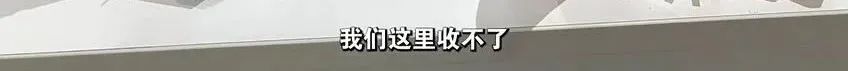 春城晚报
