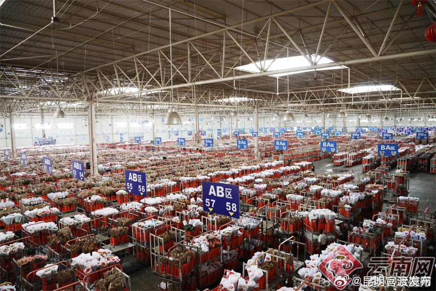 “七夕”将至 昆明花拍中心连破历史交易纪录