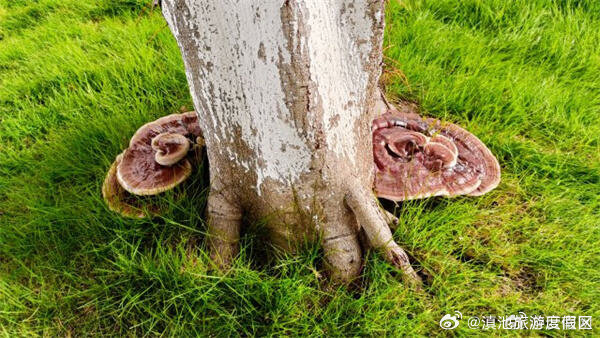 滇池旅游度假区