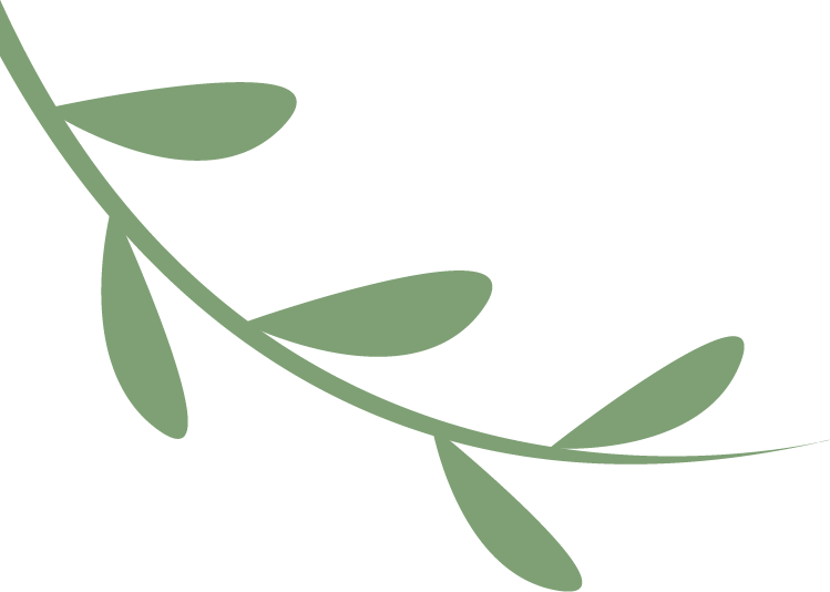 昆明阳宗海风景名胜区