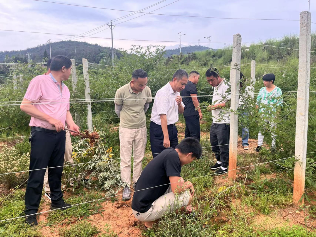 昆明阳宗海风景名胜区