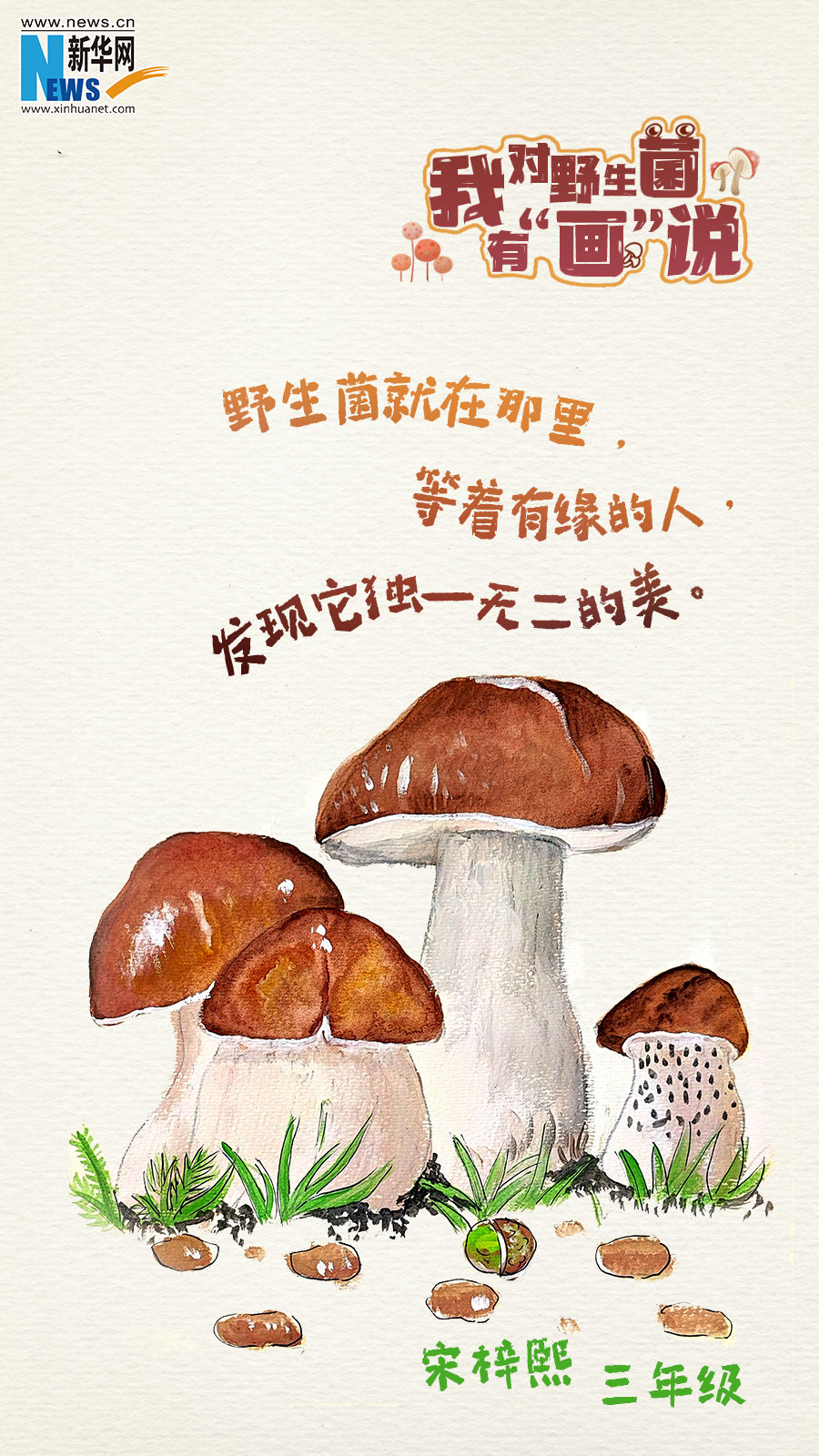 云南省文化和旅游厅