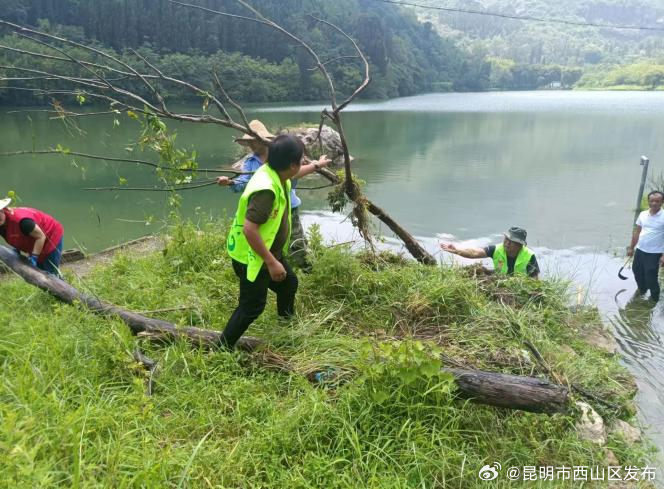 昆明市西山区发布