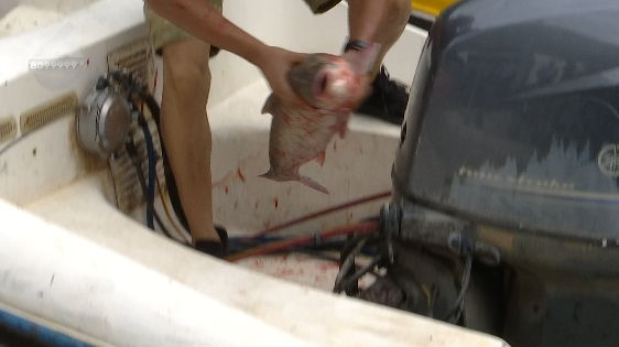 昆明信息港/cnkmxxg