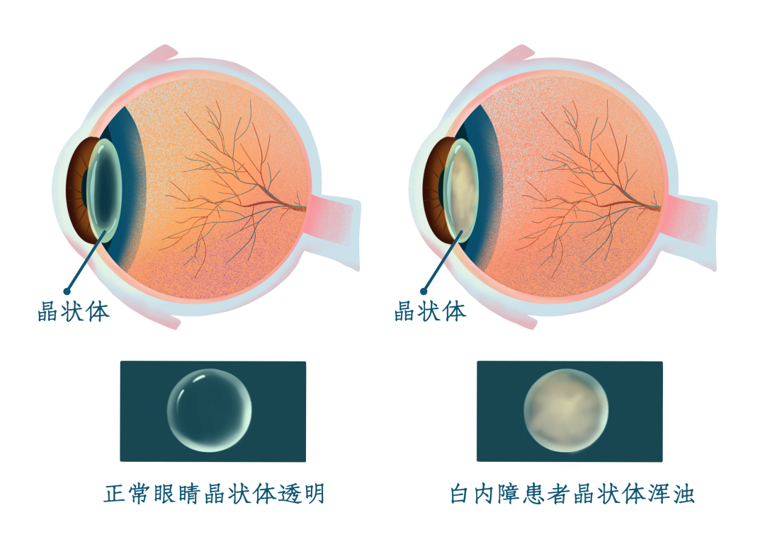 云南省中医医院