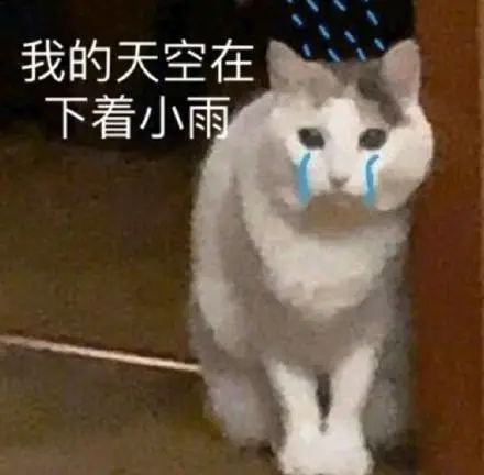 云南丽江警方