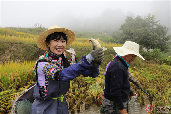 云南省文化和旅游厅