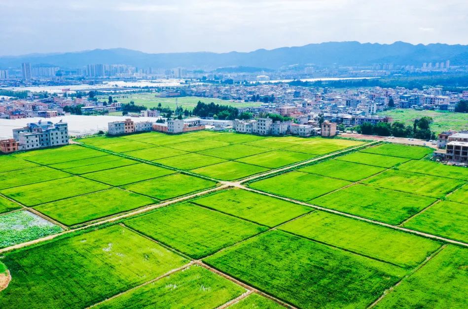 晋宁诗意的栖居地