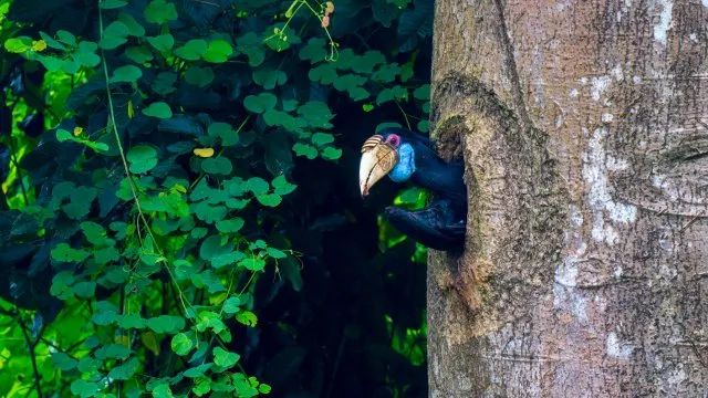 美丽云南微科普