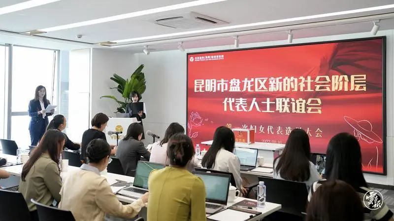 微观盘龙