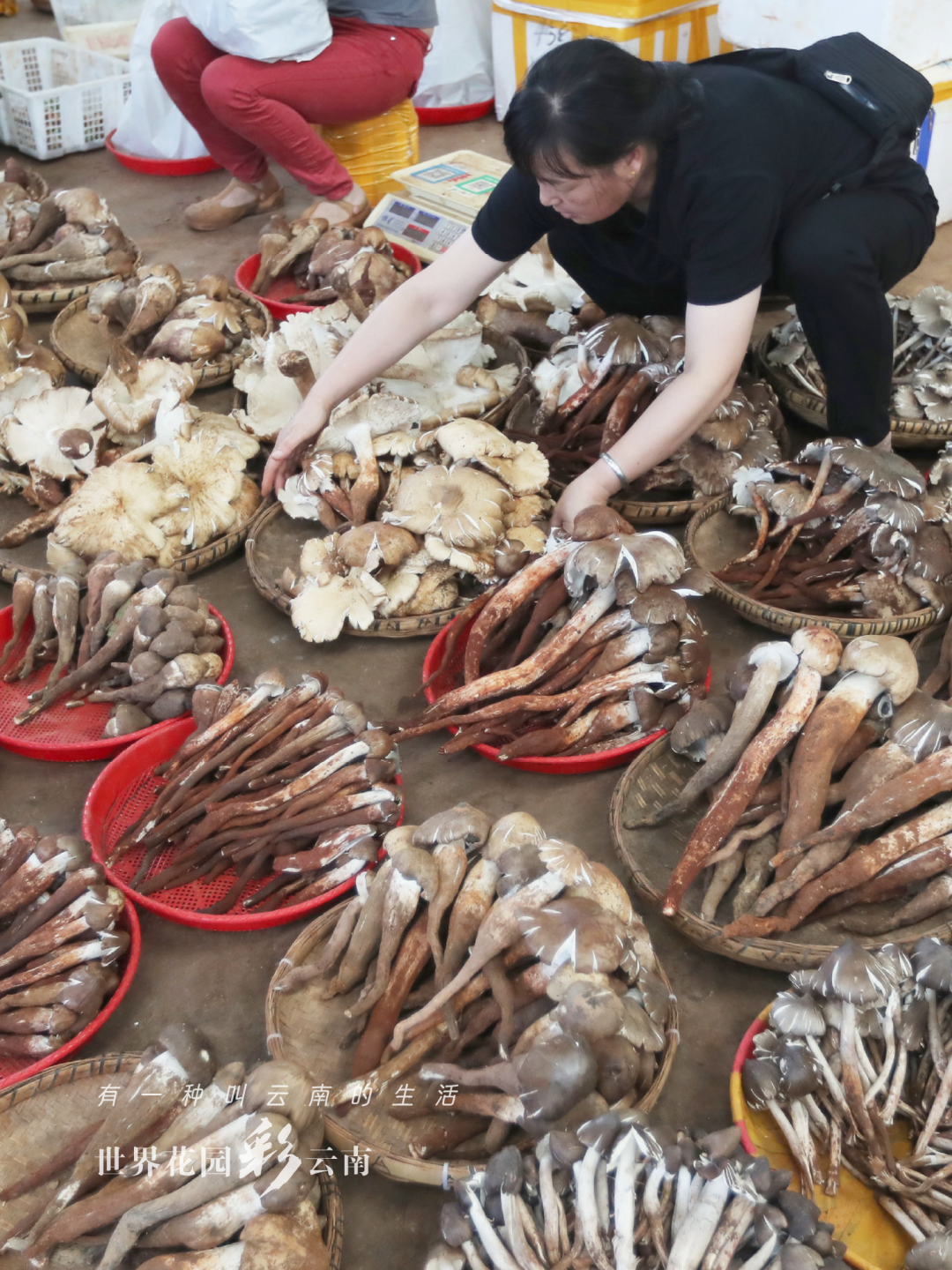 云南省文化和旅游厅