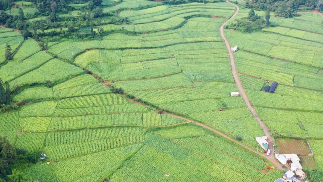 晋宁诗意的栖居地