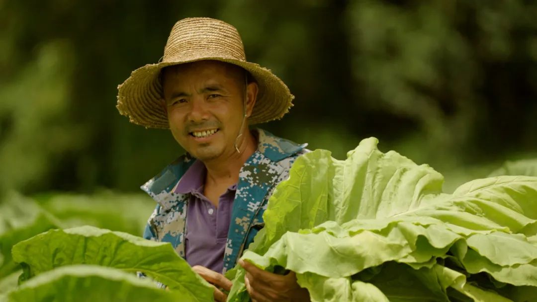 晋宁诗意的栖居地