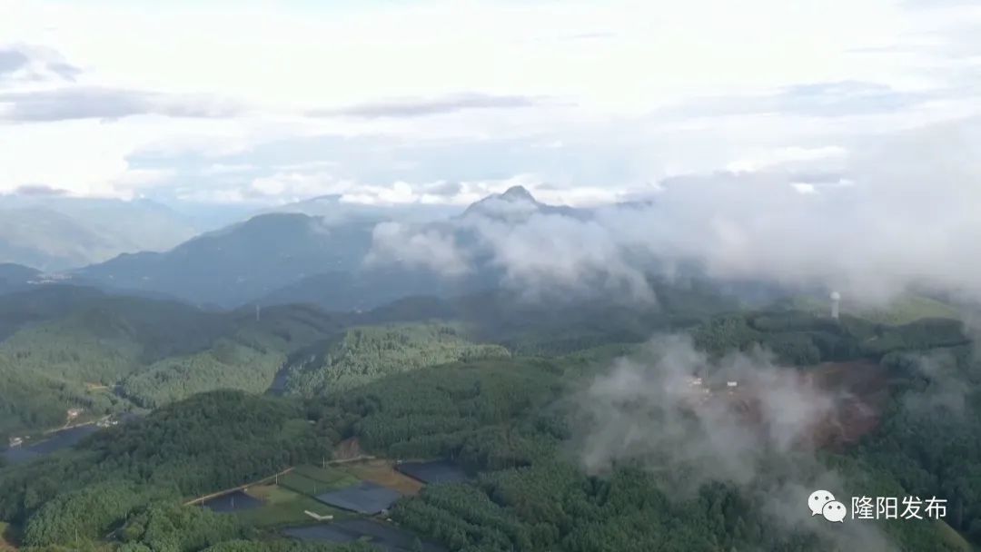保山新闻网