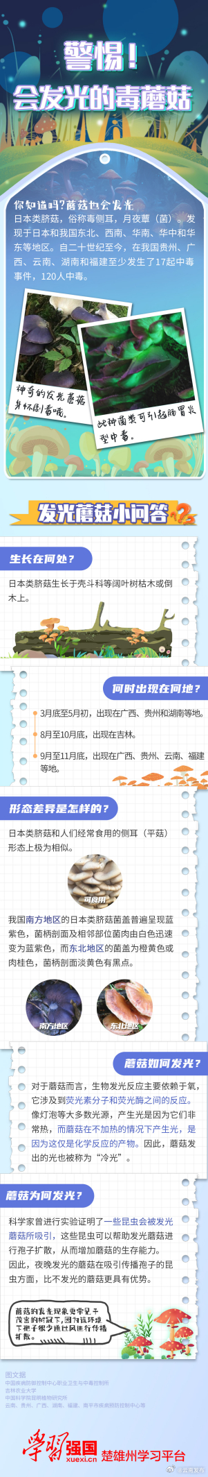 警惕！会发光的毒蘑菇