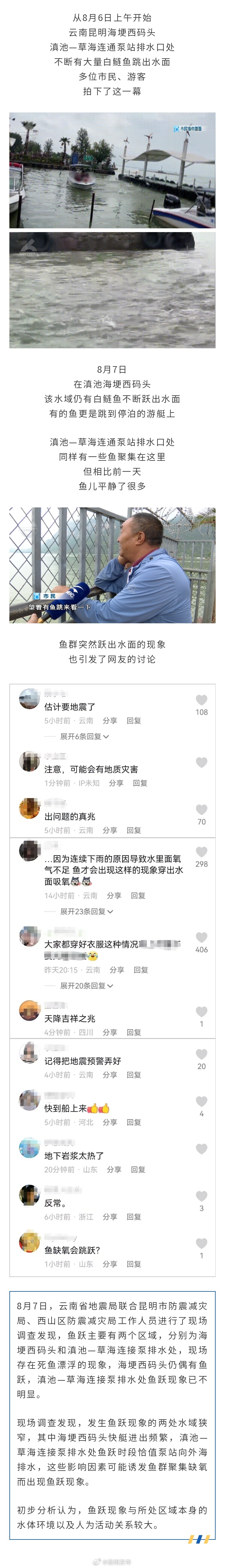 滇池白鲢鱼集体“跳龙门”？云南地震局回应