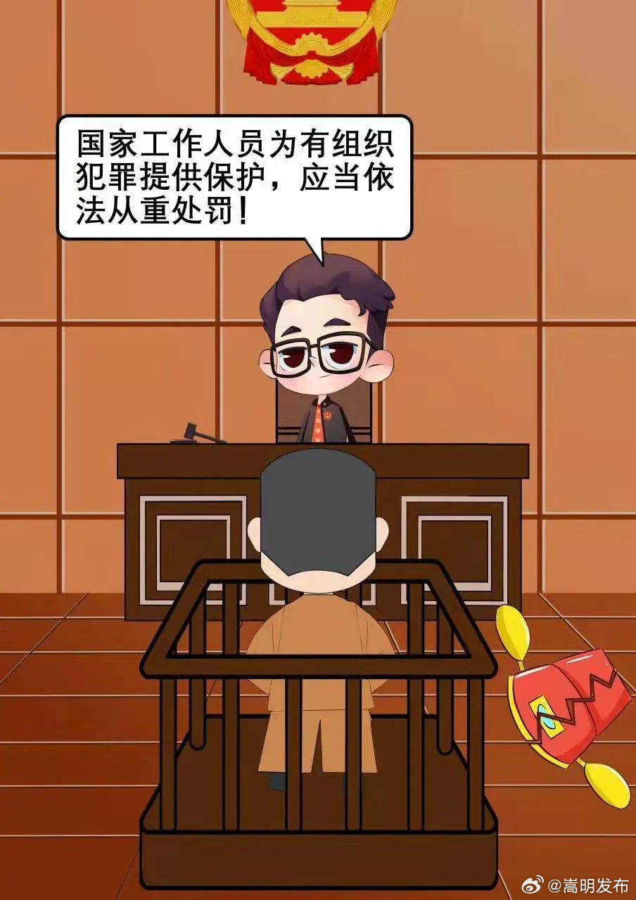 反有组织犯罪法宣传月