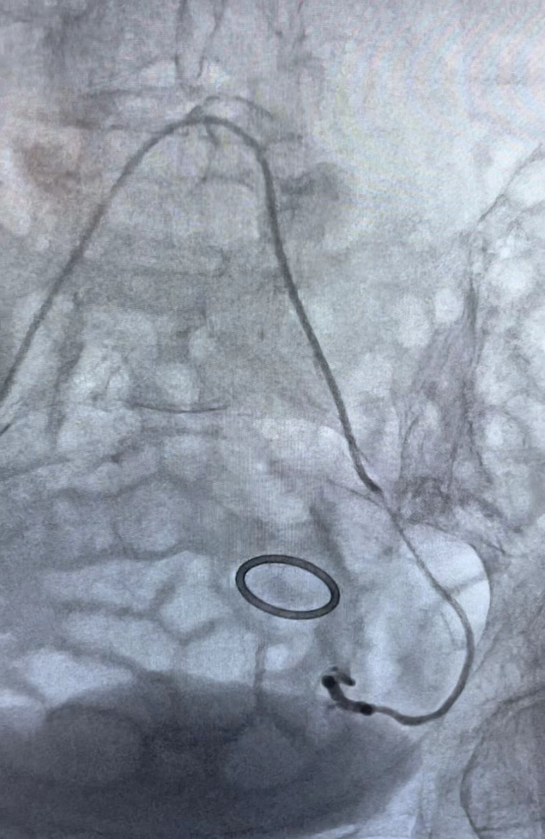 昆明市延安医院