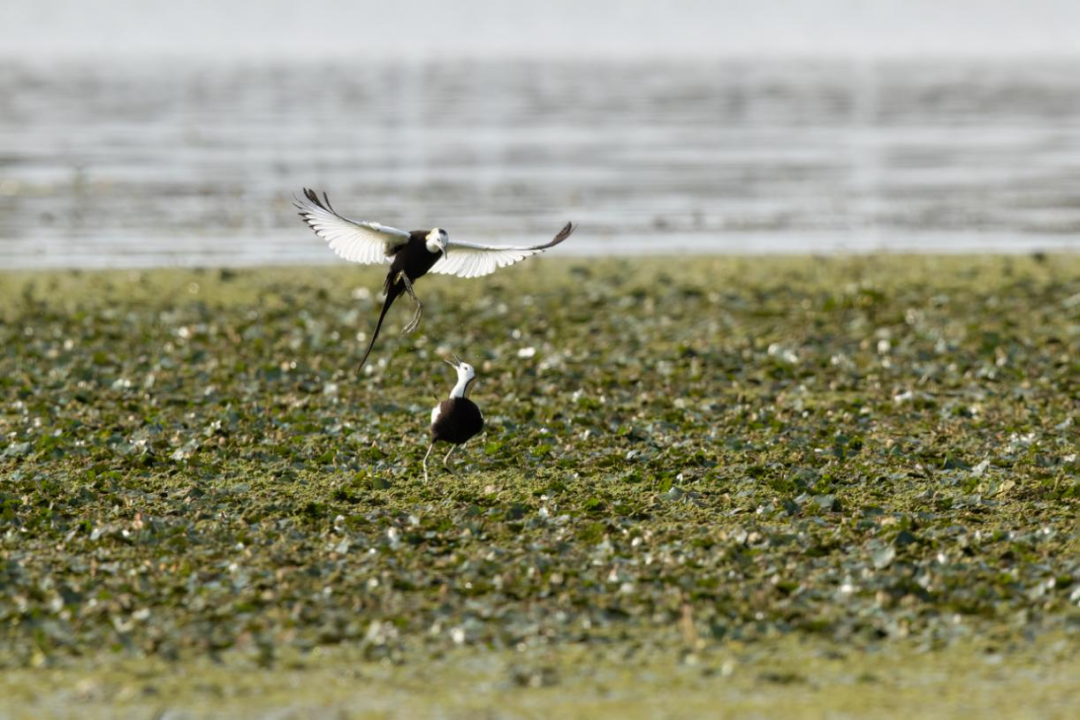 晋宁诗意的栖居地