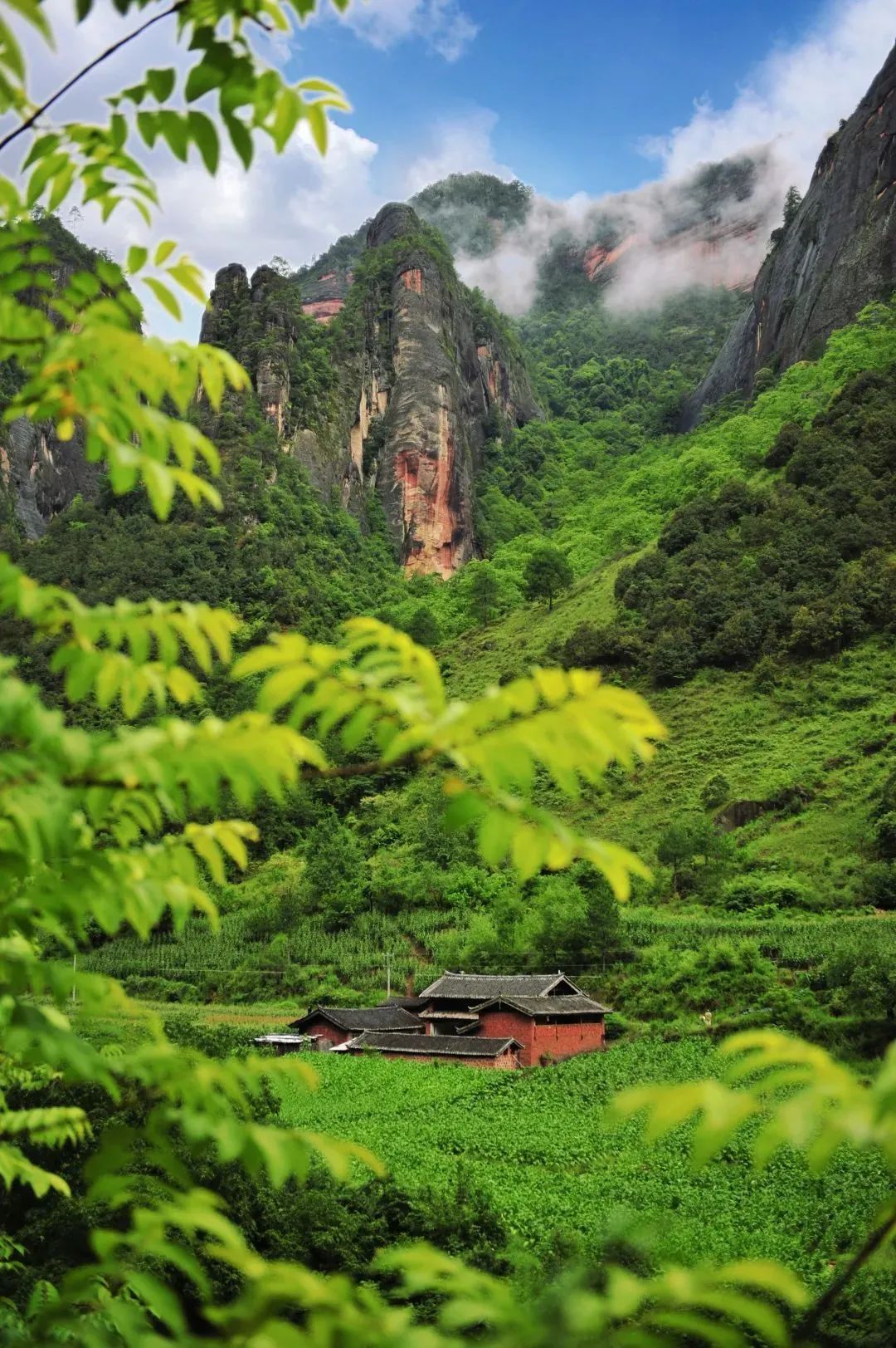 微丽江