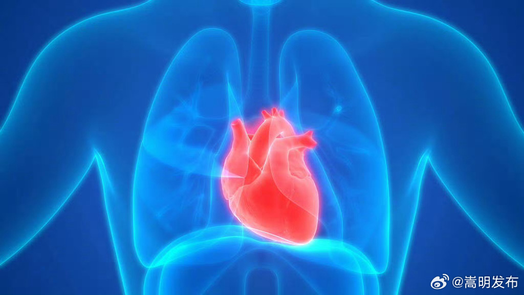 心肺好焦虑程度更低