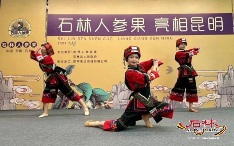 石林旅游网