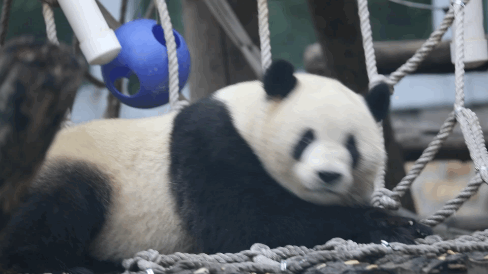 蜀黍每日分享——爱攀比的人更易患上高血压