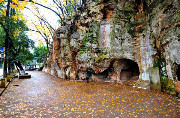 云南省文化和旅游厅