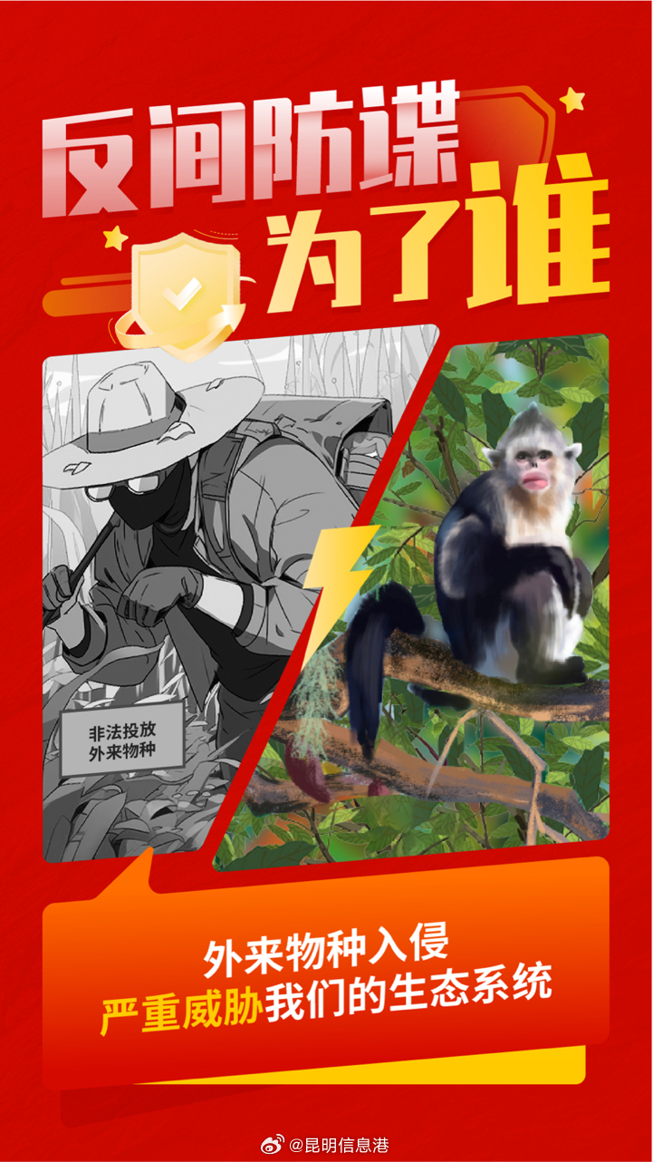 昆明信息港微博