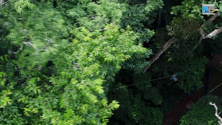 云南省文化和旅游厅