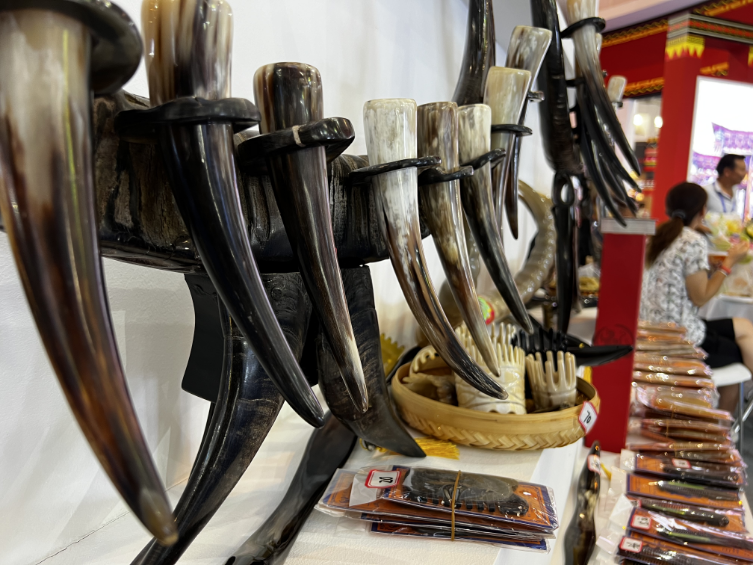 云南省文化和旅游厅