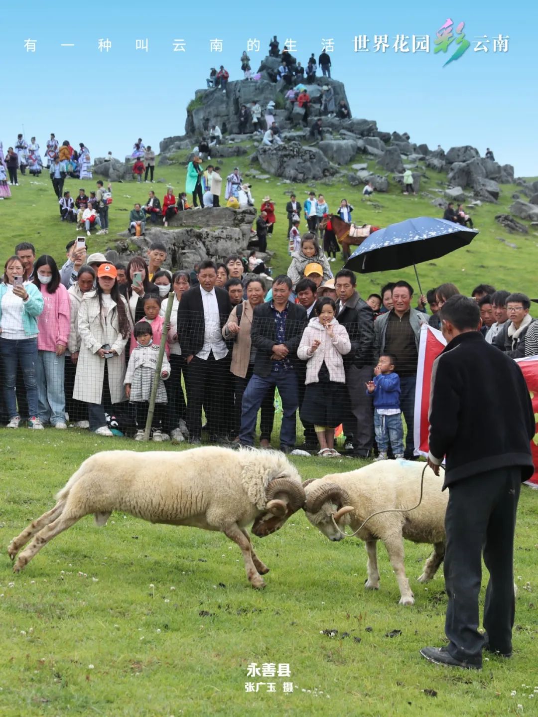 云南省文化和旅游厅