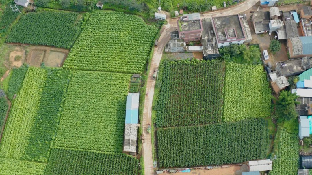 晋宁诗意的栖居地